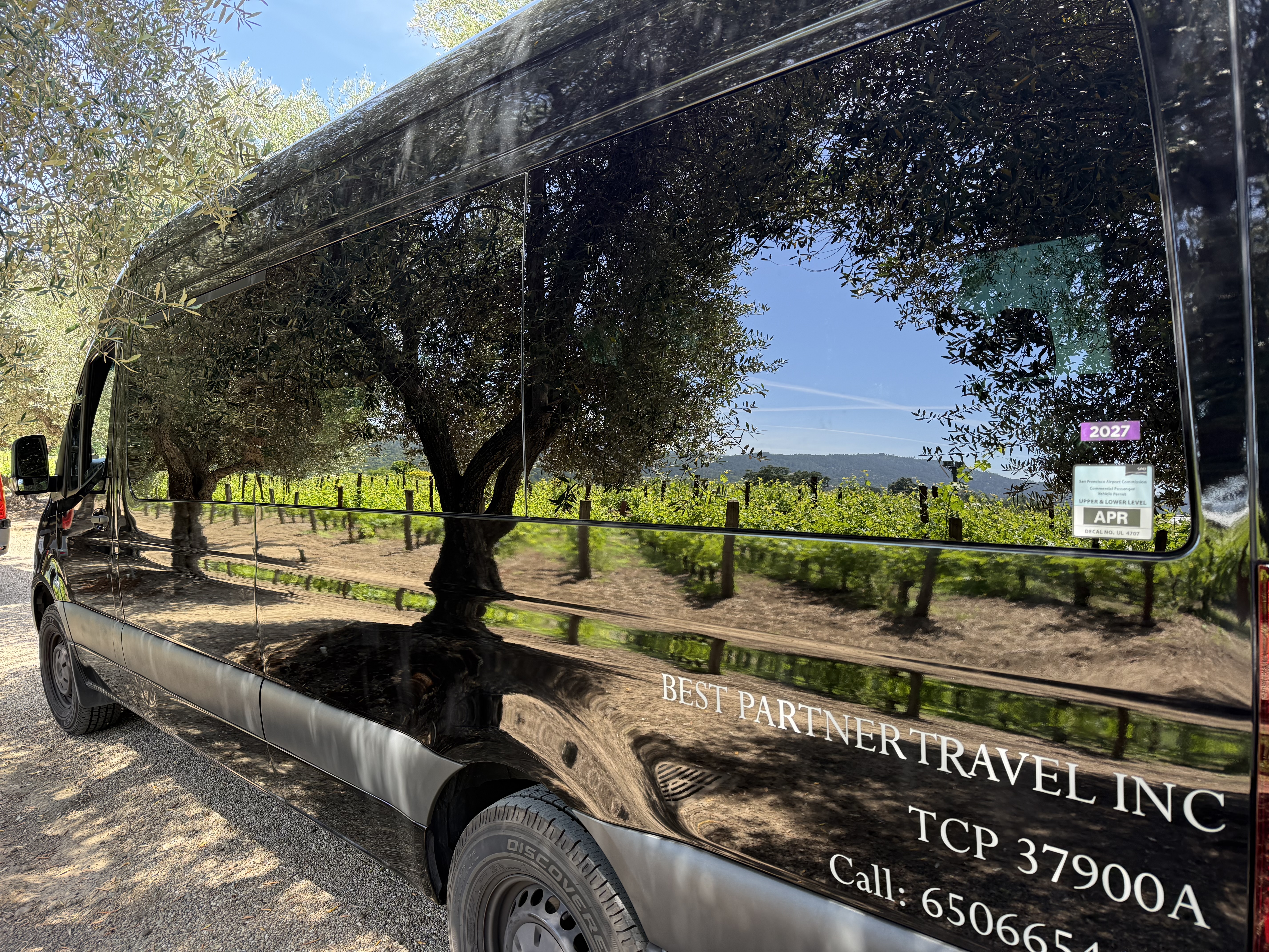 Napa photo 4