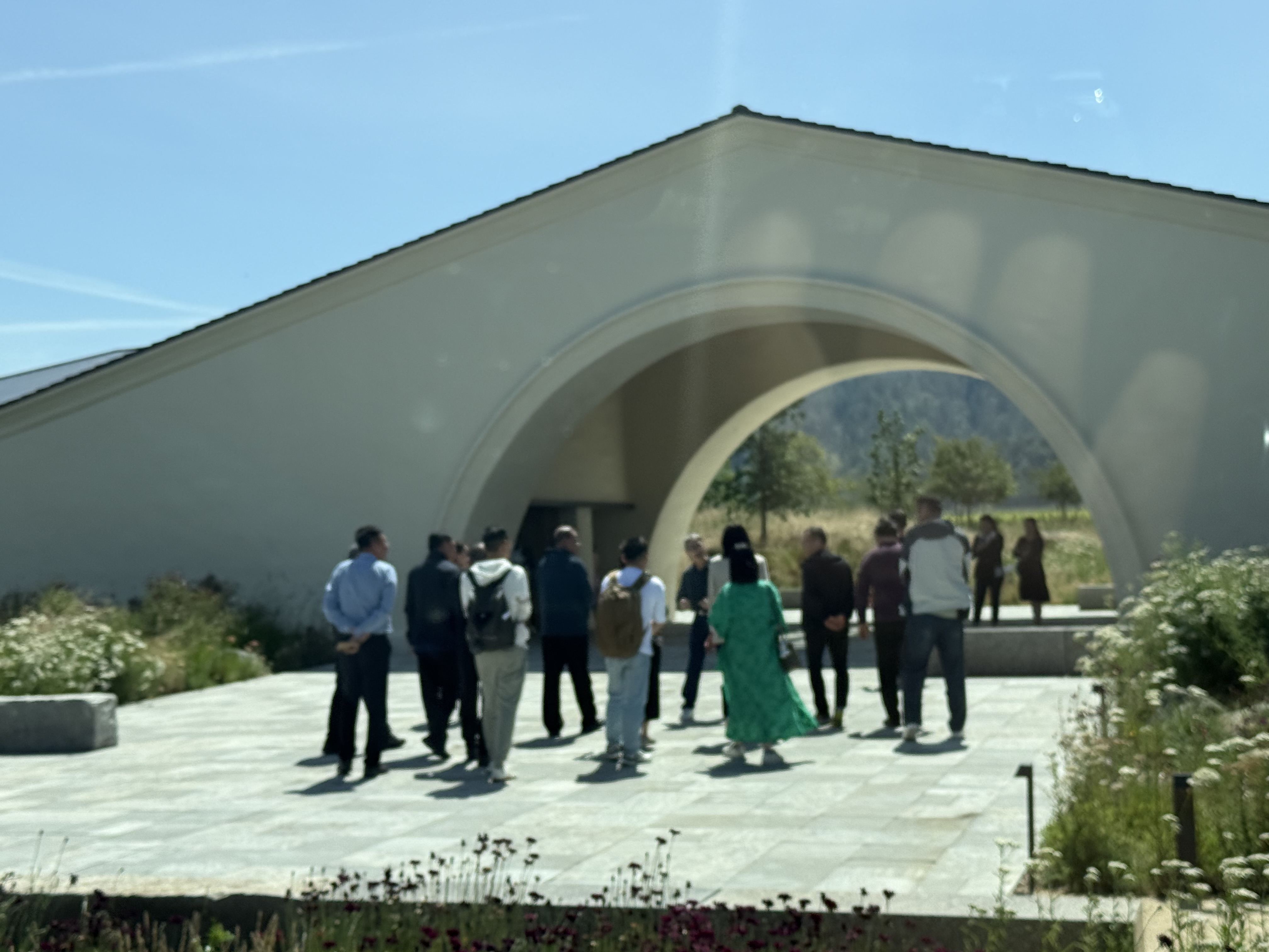 Napa photo 5